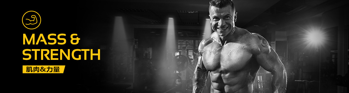 肌肉力量